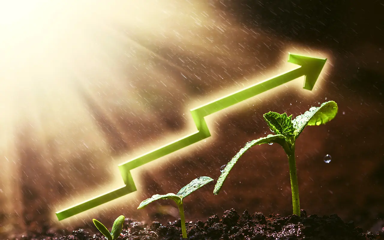 Green seedling growing under sunlight with an upward arrow, symbolising growth and expansion for AfCAA’s Program 38 Fund